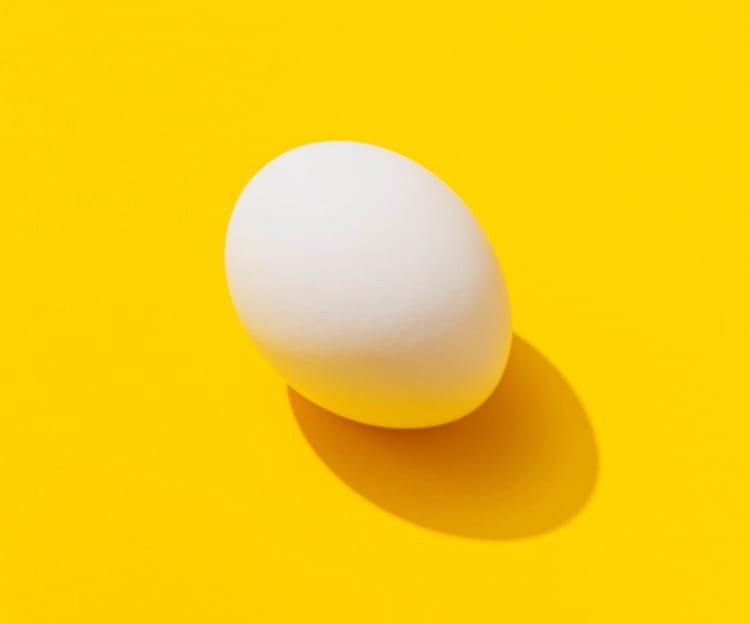 one chicken egg with background color yellow